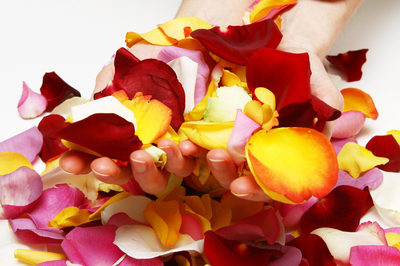 Basé sur l'ordre alphabétique, tout ce qui vous passe par la tête. - Page 38 Petale_de_rose-400x266